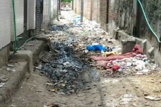 Litter pile in Nawada village Uttam Nagar