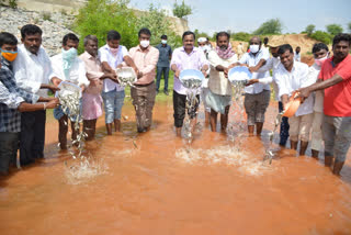 Collector left fish in ponds at Erravalli in siddipet district