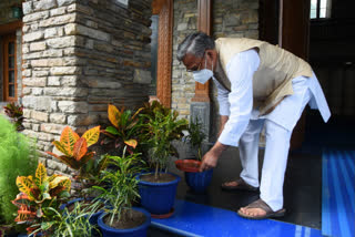 Dengue in Uttarakhand