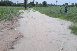 Full rain in nalgonda district