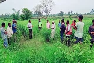 farmers khunti came to Ranchi and learned new ways  to farming