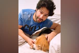 Varun Dhawan posts adorable snap with his puppy Angel