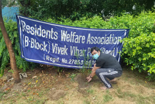 Tree plantation week celebrated in Vivek Vihar