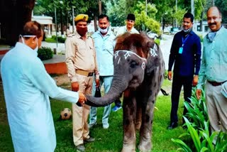 तीन दिवसीय दौरे पर दुधवा पहुंचे वन मंत्री.