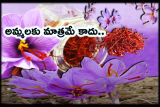 know-saffron-health-benefits-in-telugu