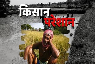 surajpur farmers problem