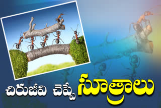 team management skills we can learn from ants in telugu