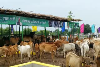 cm bhupesh baghel in durg