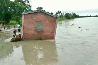 Erosion at bilasipara dhubri assam etv bharat news