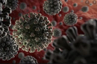 coronavirus spread may spike