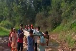 Dabla villagers facing problems due to lack of road  facility