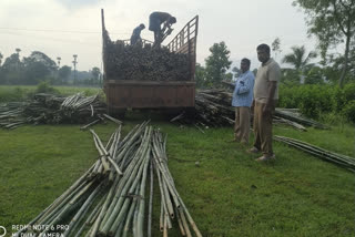 two members arrested in Bamboo smuggling