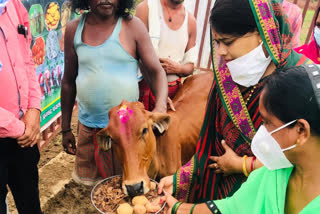 minster amarjeet bhagat celebrated hareli in balod