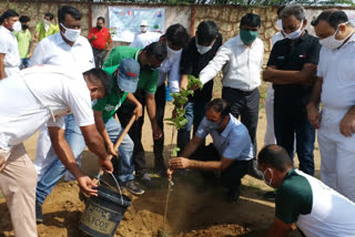 trees planted, Hariyali Festival, अजमेर न्यूज़