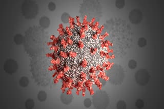 sonipat coronavirus case latest update