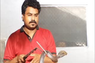 snake expert bhaksar barve