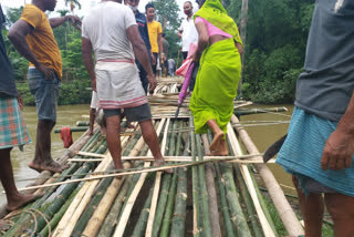 bamboo-bridge