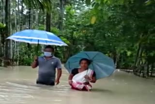 assam flood news