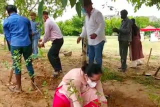 RWA and locals of Ganga Apartments did tree plantation in Vasantkunj  of Delhi