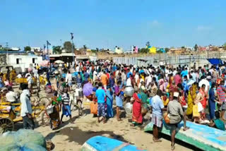 kasimedu fish market