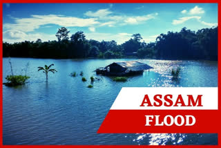 floods ravage Assam