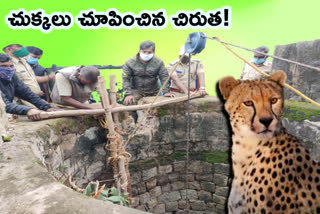 a-leopard-fell-in-ruin-well-officials-captured-it-by-the-help-of-the-cctv in mysore karnata