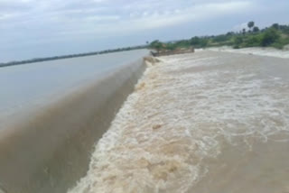 heavy rainfall in krishnagirir mandal and lakes are filled with water in kurnool district