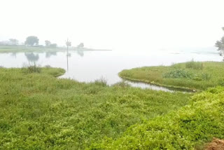 dalpat sagar pond in jagdalpur