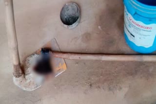 Husband killed his wife with axe