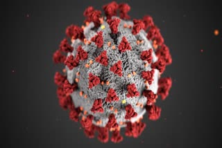 corona virus