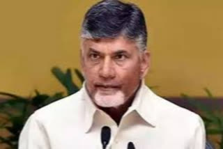 chandra babu fires on cm jagan