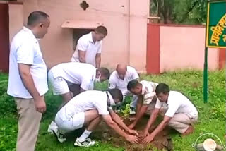 Plantation program done in support corps