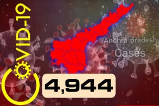 4,944  new corona cases has reported in ap today