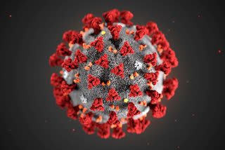 കോട്ടയം  കൊവിഡ് 19  കോവിഡ്  covid 19  corona  covid updates  outbreak