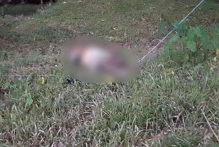 One Dead with Electric Shock in Assam Jorhat Teok