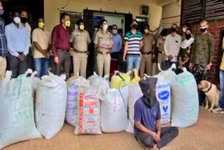 cannabis seized in kamshet pune district