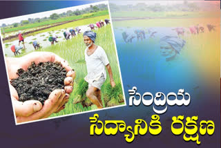 Control over fertilizer tests says Central Department of Agriculture