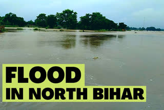 Rain in catchment areas of Gandak causes flood in north Bihar