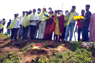 collecrot planted seeds balls in mahabubnagar