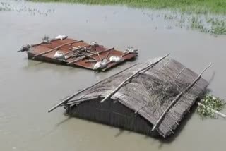 ASSAM FLOOD  87 nos people lost their lives in flood  അസമിലെ പ്രളയത്തിൽ  മരണസംഖ്യ 87 ആയി  ദിസ്‌പൂർ