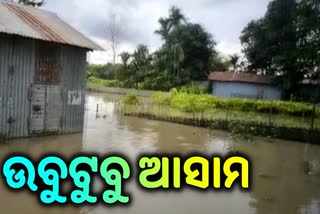 ଆସାମରେ ଜଳପ୍ରଳୟ; ବନ୍ୟାରେ 87 ଜଣଙ୍କ ମୃତ୍ୟୁ