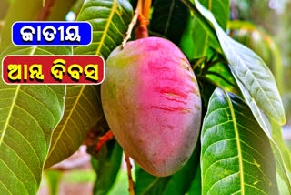 History and facts about National Manogo Day, National Manogo Day, ଆଜି ଜାତୀୟ ଆମ୍ବ ଦିବସ, ଜୁଲାଇ 22 ତାରିଖ ଆମ୍ବ ଦିବସ