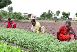 awareness-song-about-corona-virus-at-yavatmal