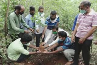 planting-program-in-dakshina-kannada