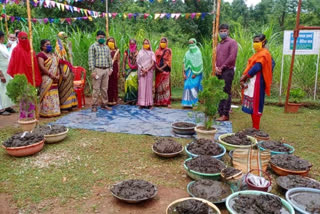 Purchase of cow dung under Godan Nyaya Yojana