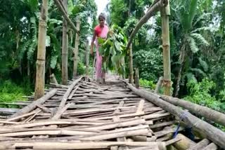 Poor Bridge at Nagaon Kaliabor