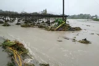 Chirang flood and erosion assam etv bharat news