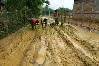 protest against government due to poor condition of a road in goalpara assam etv bharat news