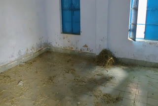 bad condition of government schools,  condition of government schools , condition of government schools in rajasthan