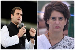 UP Congress: A battlefield for Rahul, Priyanka loyalists